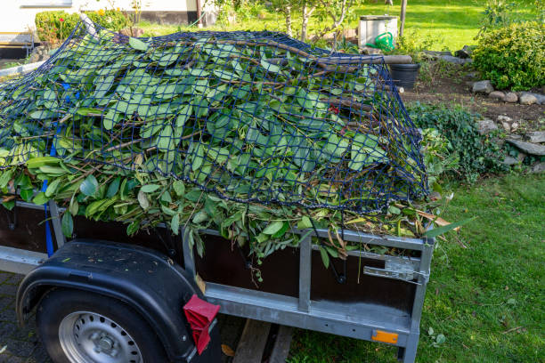 Best Carpet Removal and Disposal  in Oak Forest, IL